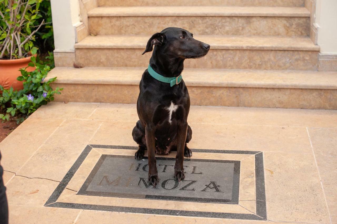 Hotel Mimoza à Spetses Town Extérieur photo